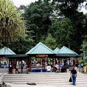 神山公园 + 波令温泉之旅