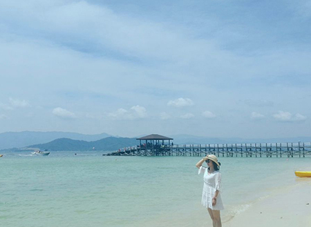 淘梦岛