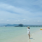 淘梦岛