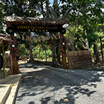 婆罗洲文化村 + 红树林 + 萤火虫