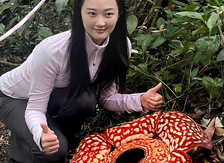 担布南大王花保护中心