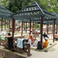 3天2晚 沙巴亚庇市 + 神山公园 + 波令温泉 + 树顶吊桥 (住宿神山公园1晚)