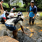 3天2晚 沙巴昆达山 + 神山公园