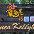 4天3晚 沙巴亚庇市 + 海岛 + 文化村+ 红树林