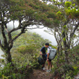 5天4晚 探索沙巴京那巴鲁山 + 马努干岛