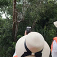 邦加湾红树林 + 天空之镜 + 萤火虫