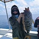 仙本那休闲海钓